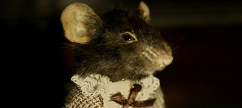 The-Mouse-that-Squeaked