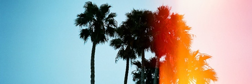 I-Can-Follow-My-Dream-Because-You-Wont