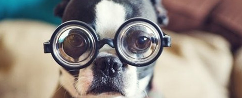 Everything-I-Write-is-Horrible