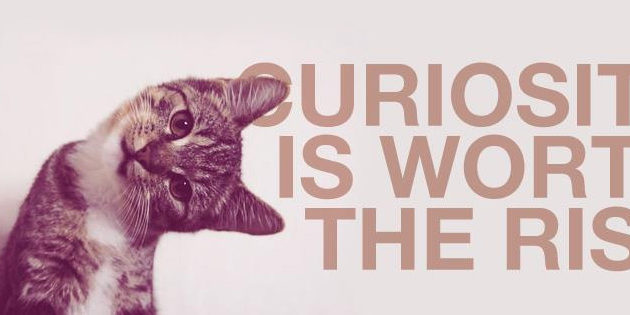 curiosity
