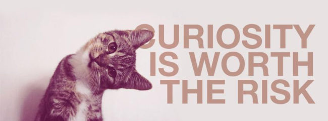curiosity