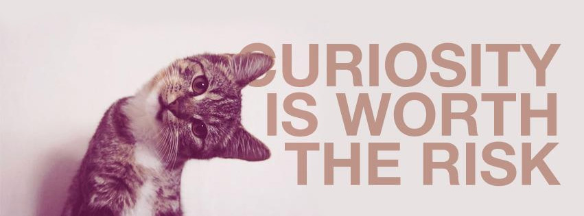 curiosity
