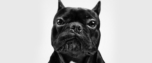 Crappy-Jobs-and-Situations