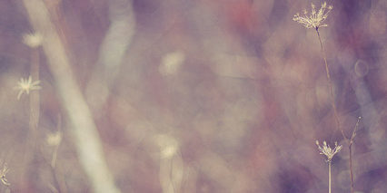 When-Creativity-Happens