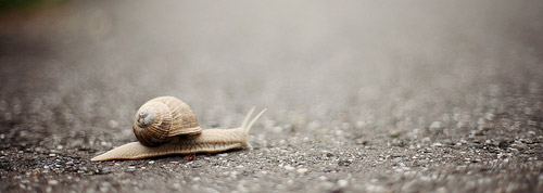 When-You-Don’t-Belong