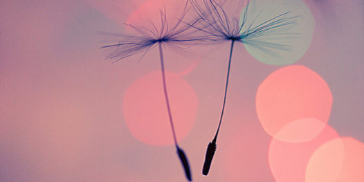 Jump-Before-Thinking