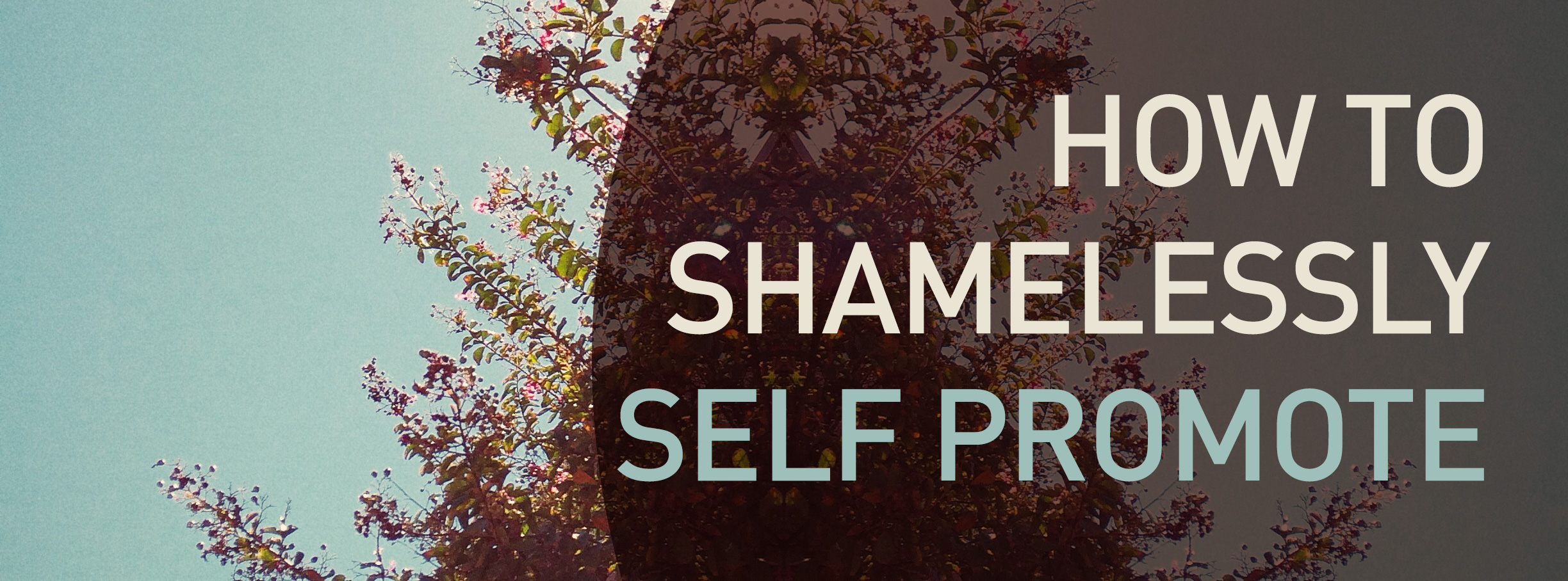 How-to-Shamelessly-Self-Promote