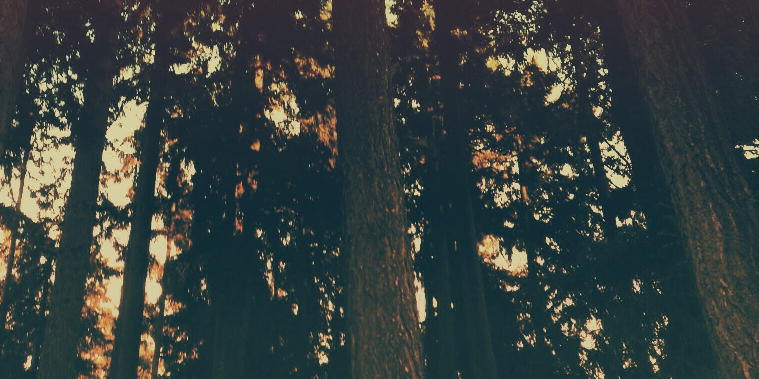 A-Boost-of-Confidence