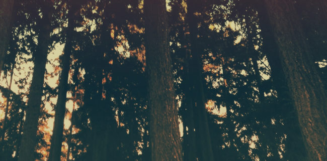 A-Boost-of-Confidence