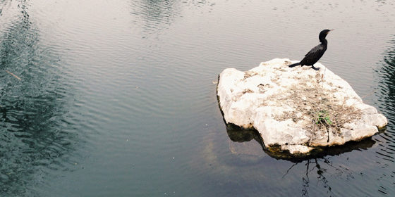 You’re-Going-Out-of-Style