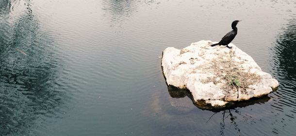 You’re-Going-Out-of-Style