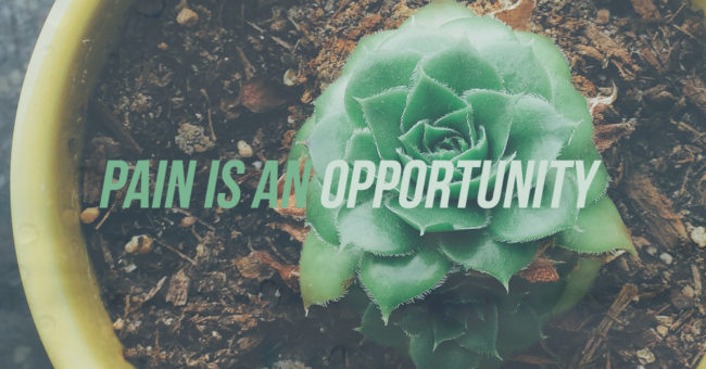 pain-is-an-opportunity