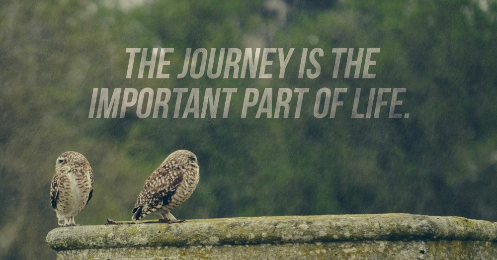 the-journey