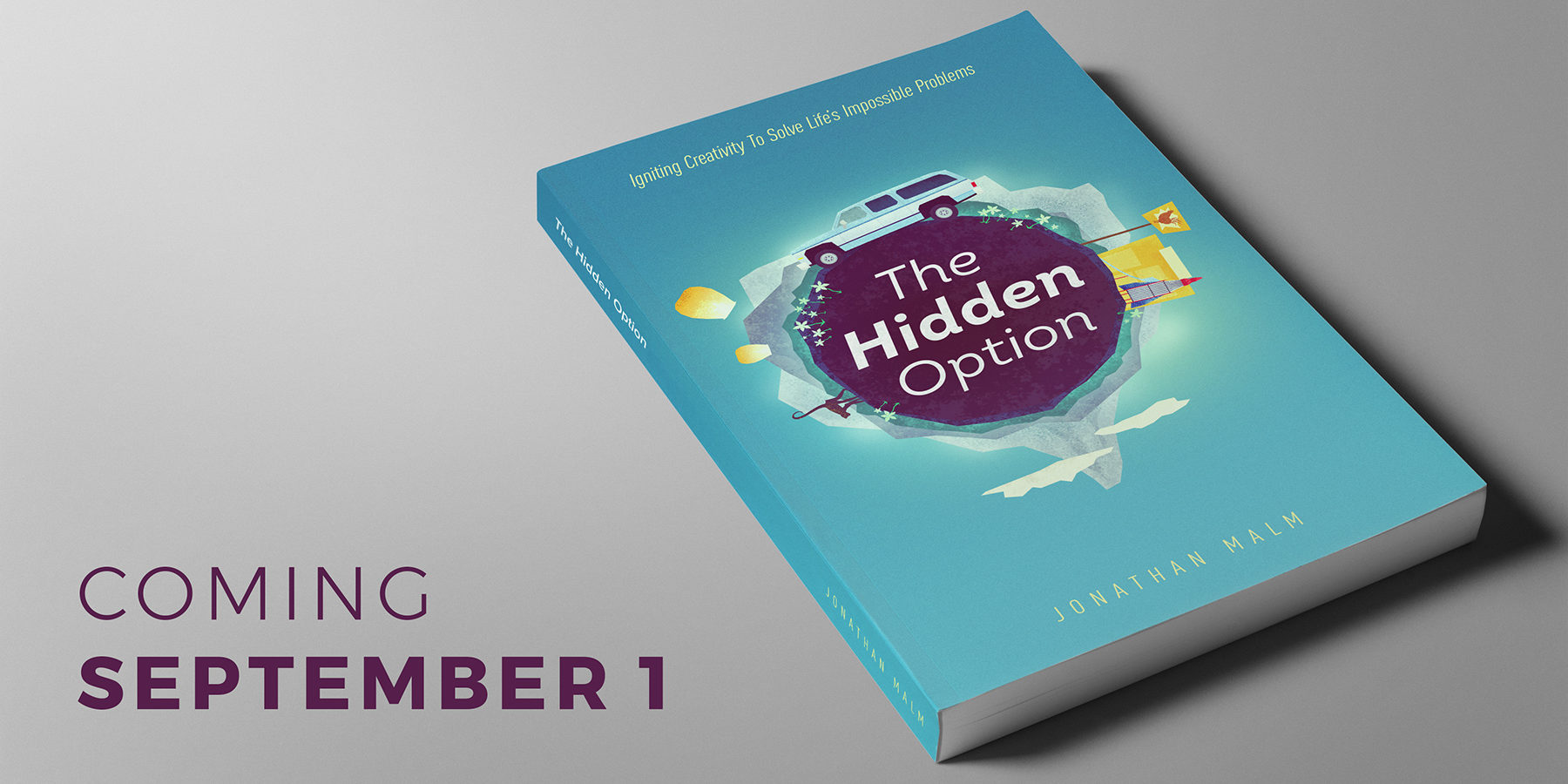 the hidden option book